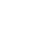 Federal University of Amazonas logo