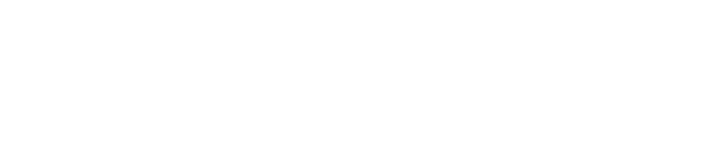 Shanghai University of Finance and Economics logo