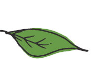 San Francisco Institute of Esthetics & Cosmetology Inc logo