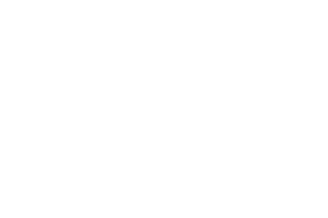 Florida Institute of Technology logo