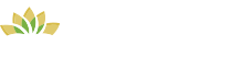 Bethany Theological Seminary logo