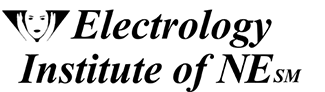 EINE Inc logo