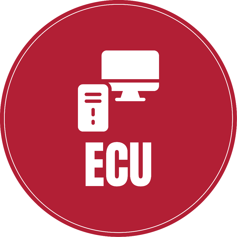 Egyptian Chinese University logo