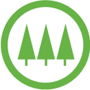 Pine Technical & Community College logo