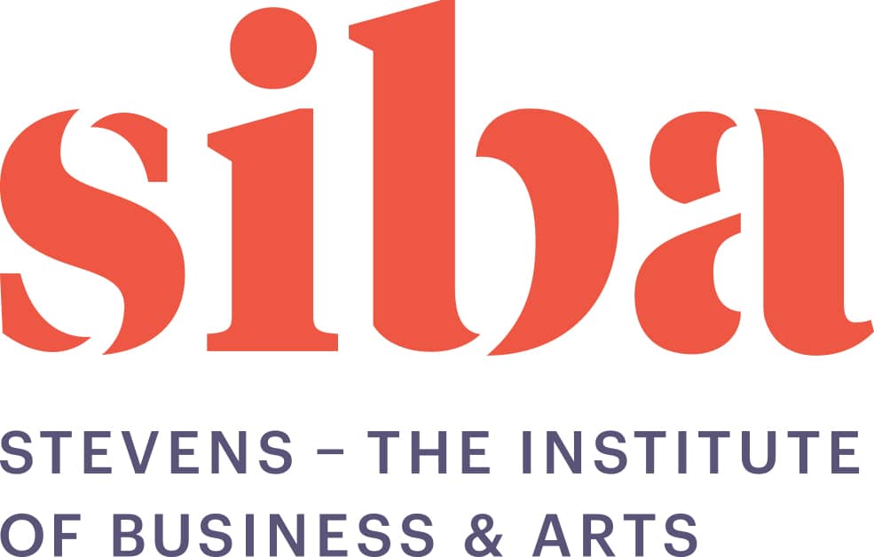 Stevens-The Institute of Business & Arts logo