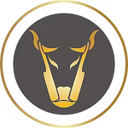 Bull City Durham Beauty and Barber College logo