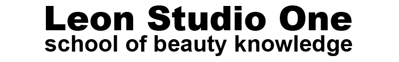 Leon Studio One School of Beauty Knowledge logo