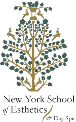 New York School of Esthetics & Day Spa logo
