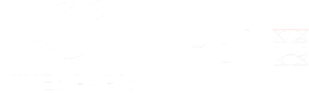 Institute of Higher Education for Innovation and Entrepreneurship - IHEIE, Mines Paris, PSL University, Institute of Higher Education for Innovation and Entrepreneurship (IHEIE) logo