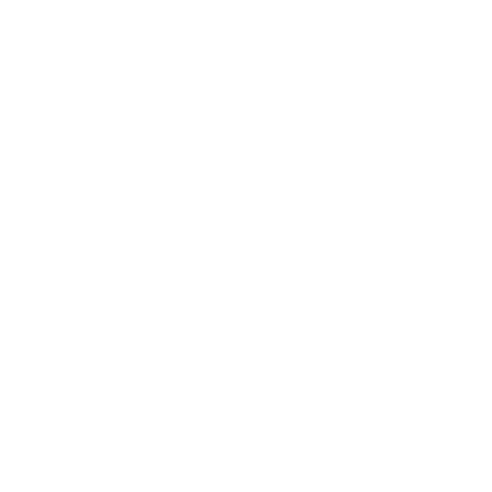 Yeshiva Ohr Yisrael logo