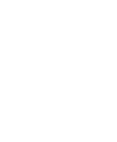 Neo-Esthetique European Institute logo