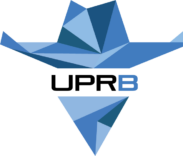 University of Puerto Rico-Bayamon logo