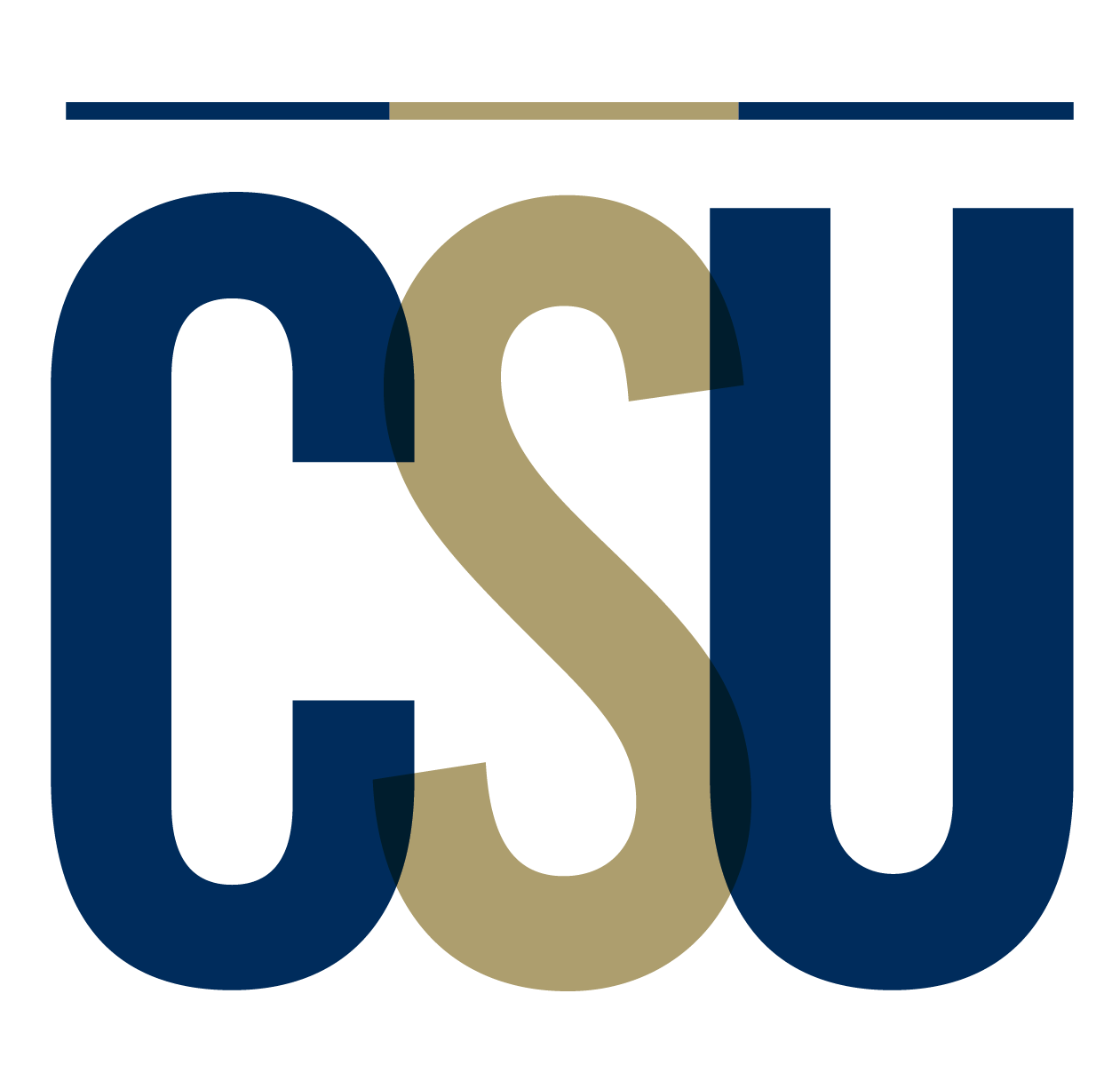 Charleston Southern University logo