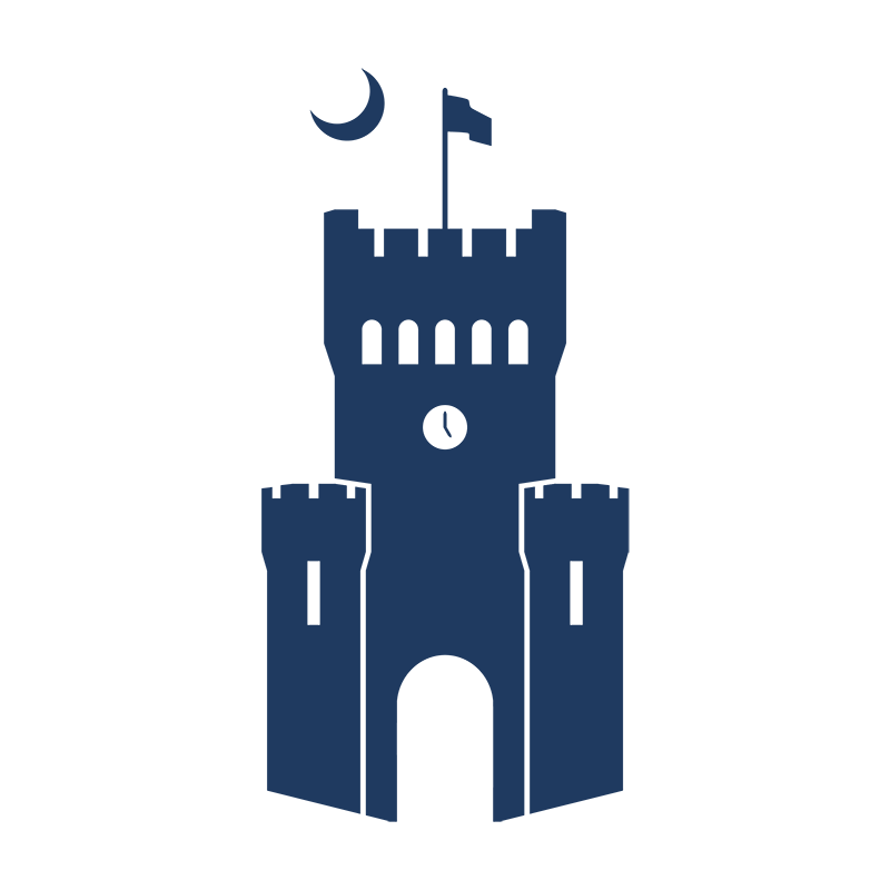 Citadel Military College of South Carolina logo