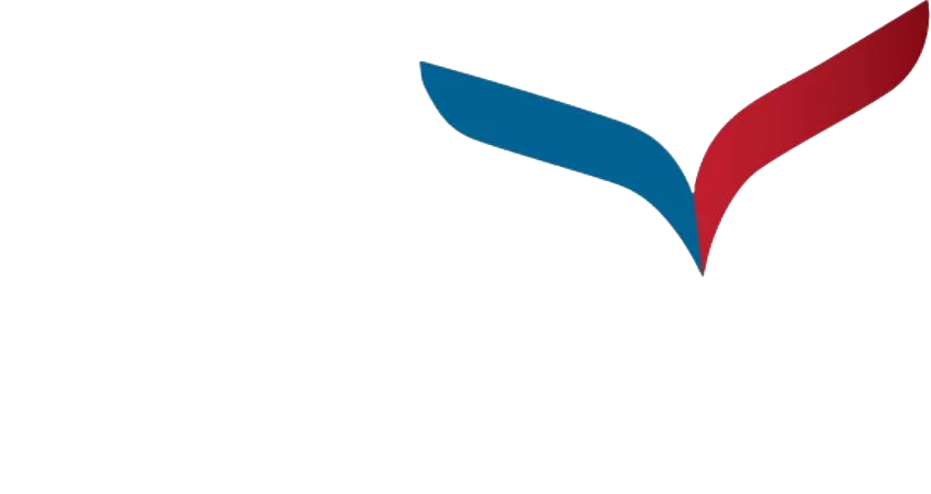 Vivek University logo