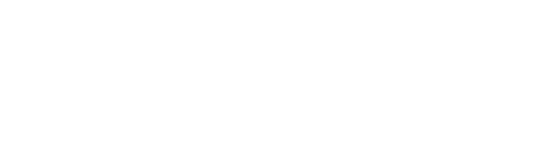 Meerut College logo