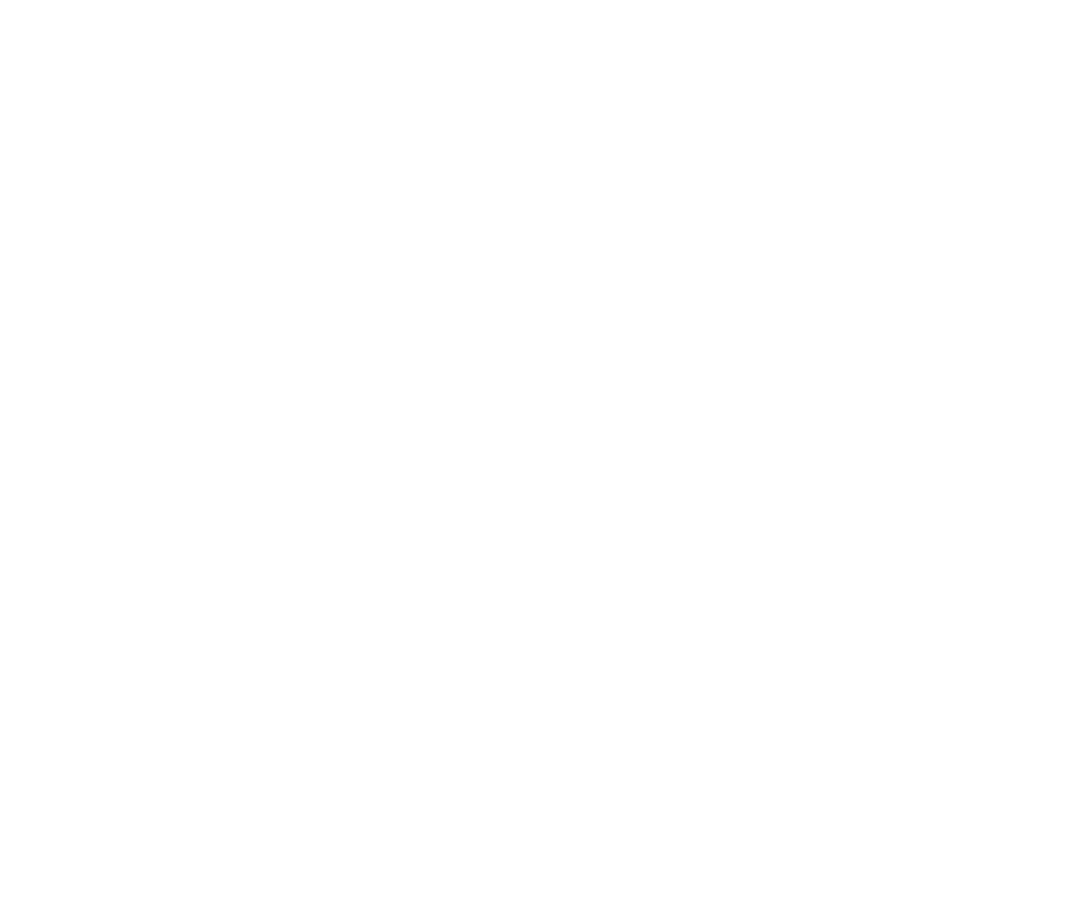 American University of Kurdistan logo
