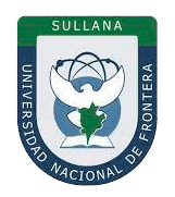 National University of Frontera logo