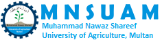 Muhammad Nawaz Shareef University of Agriculture logo