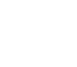 Sumy National Agrarian University logo