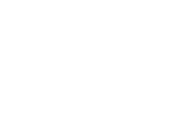 Brescia University logo