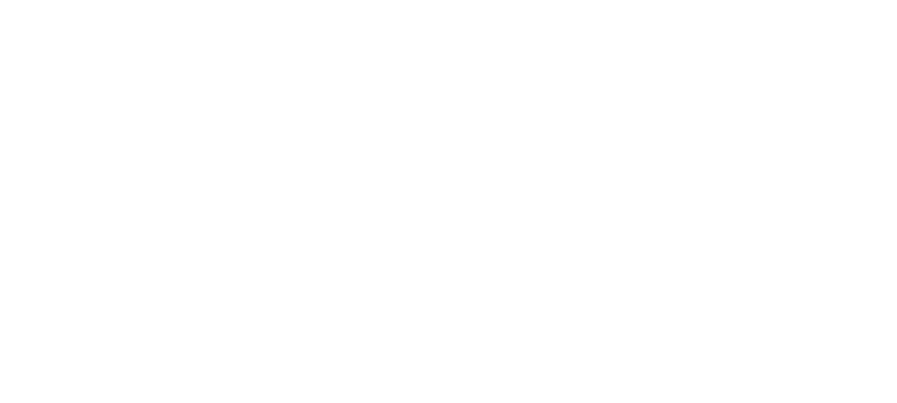 Fisk University logo
