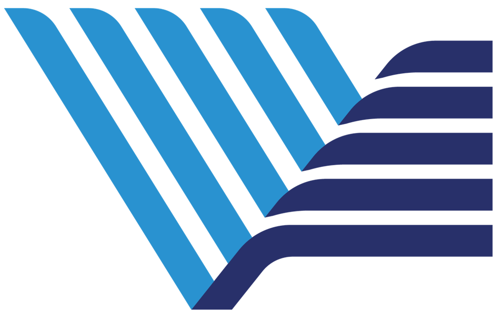 Vietnam National University Ho Chi Minh City logo