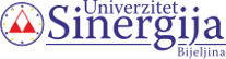 University Sinergija logo