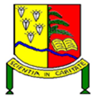 University of Mbuji Mayi logo