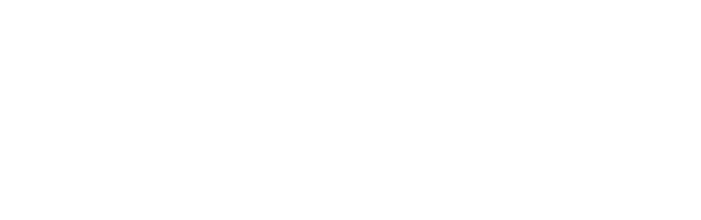 Wuhan University logo