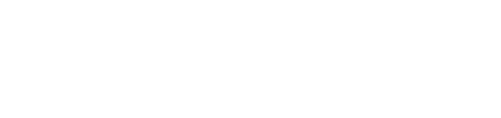 Nanyang Normal University logo