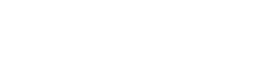 Nanfang College Guangzhou logo