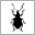 Curculio Institute logo