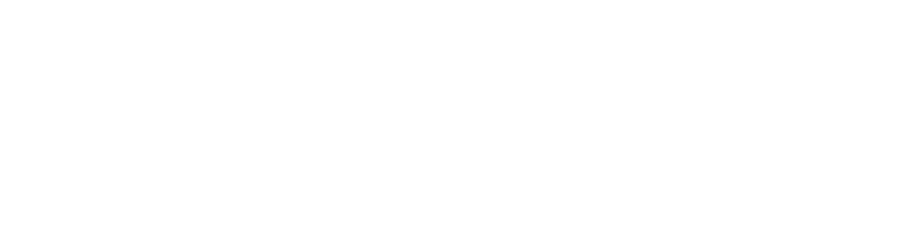 Badr University in Assuit logo