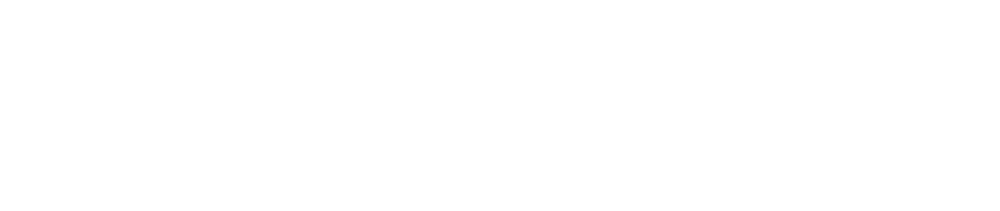 Badr University in Cairo logo