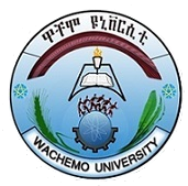 Wachemo University logo