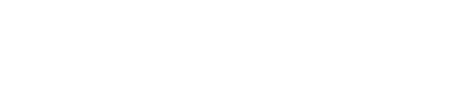York College logo