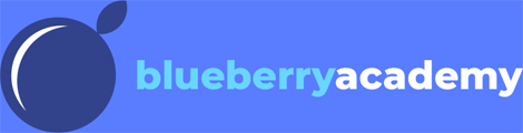 Blueberry Academy logo