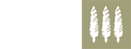The Max Stern Academic College of Emek Yezreel, The Max Stern Yezreel Valley College logo