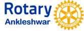 Shroff S.R. Rotary Institute of Chemical Technology logo