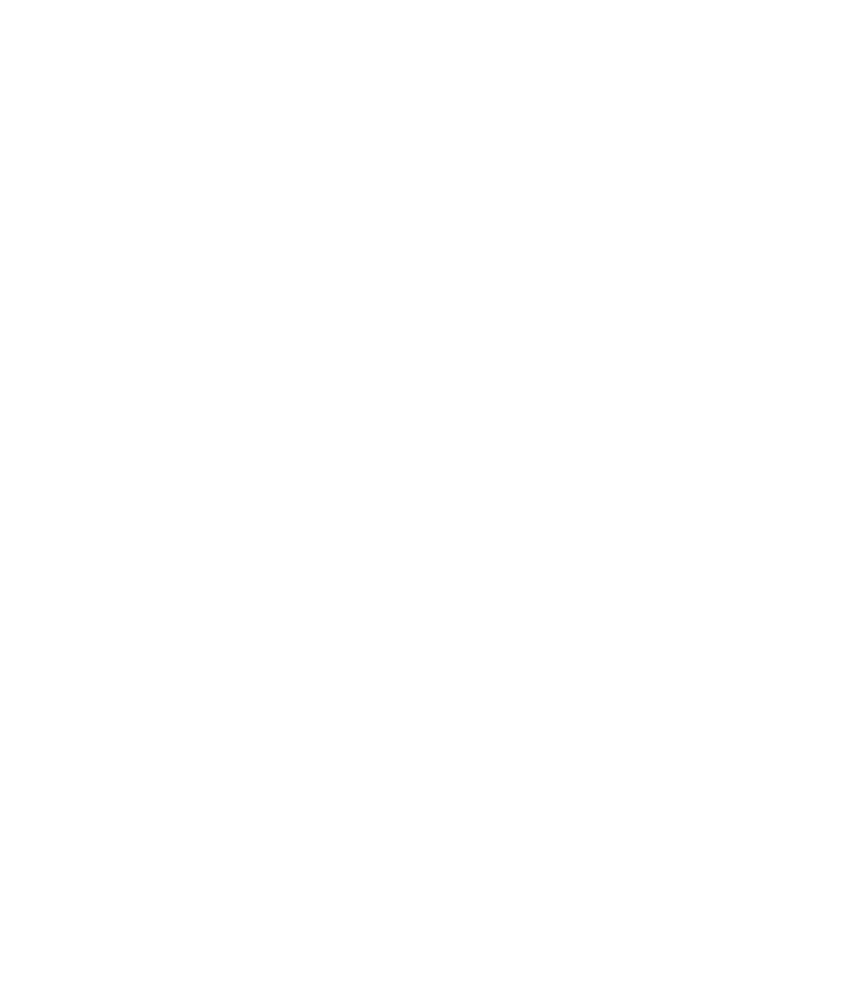 Shandiz Institute of Higher Education logo