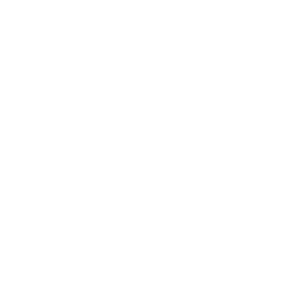 The College of Veracruz logo