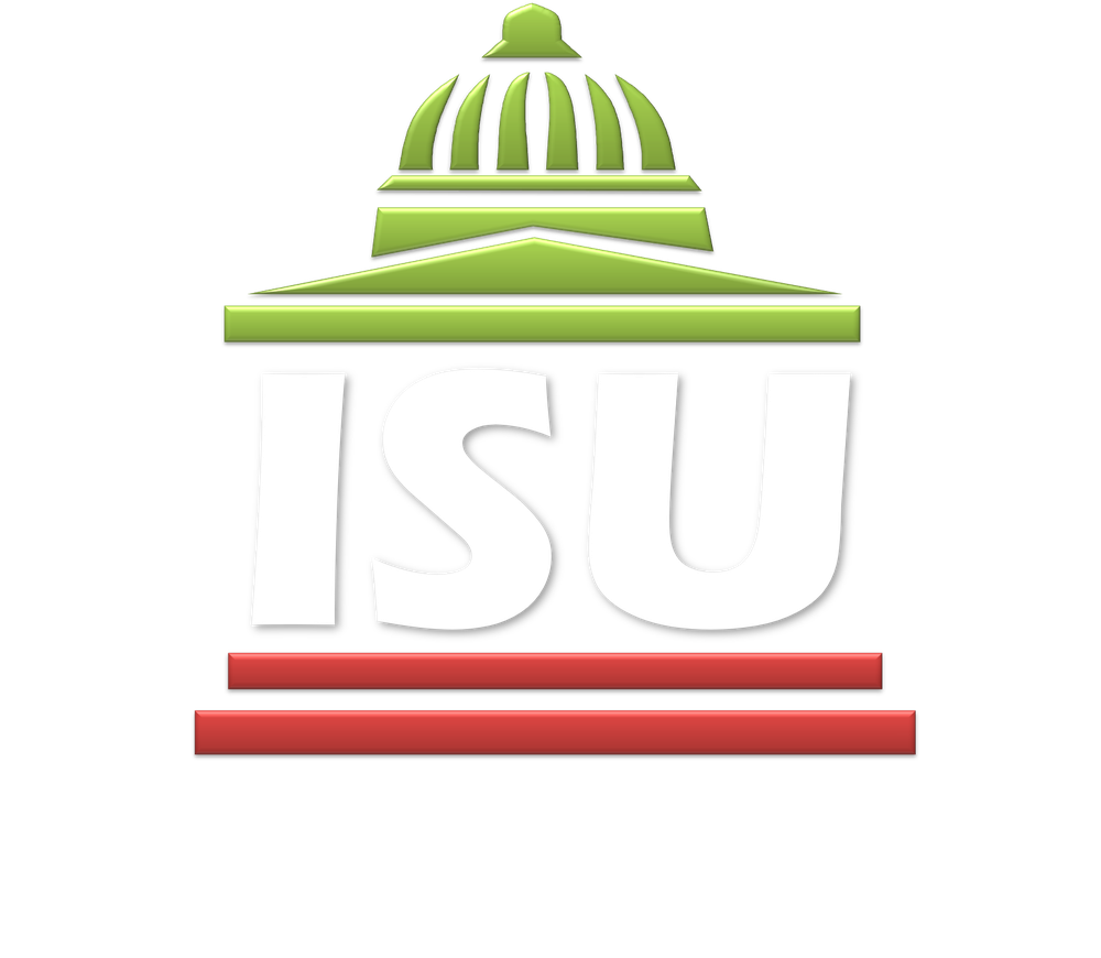 Ibn-e-Sina University logo