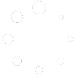 National Institute for Public Administration logo