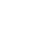 St. Elizabeth College of Health and Social Work logo