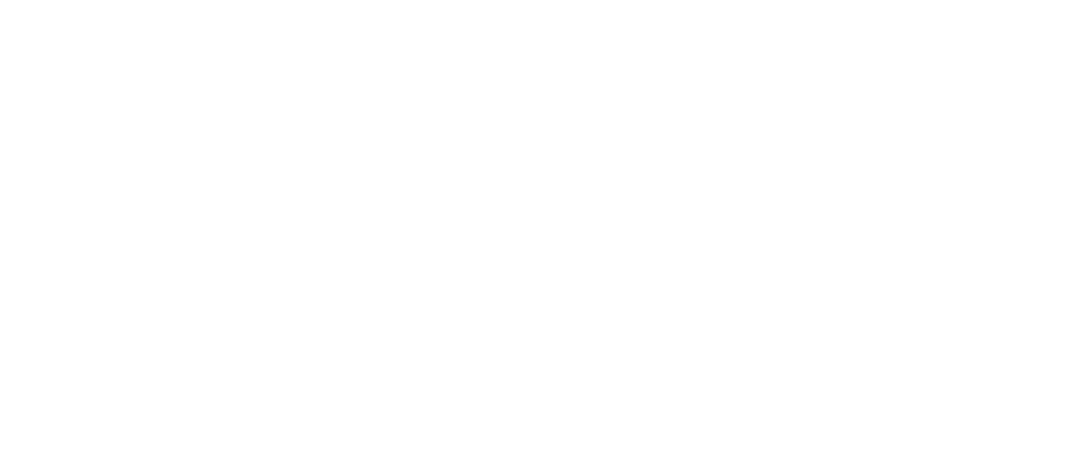 Tashkent International University logo