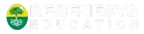 Regenesys Business School logo