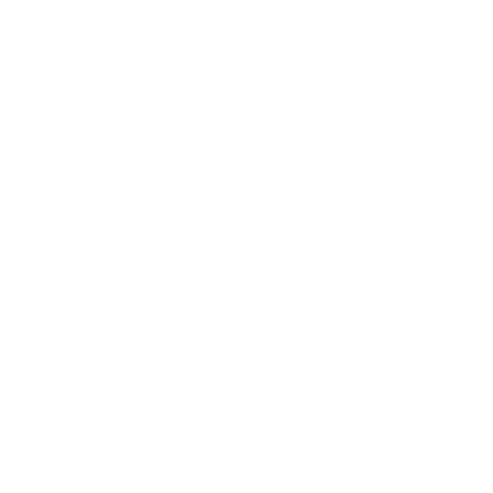Northeast Alabama Community College logo