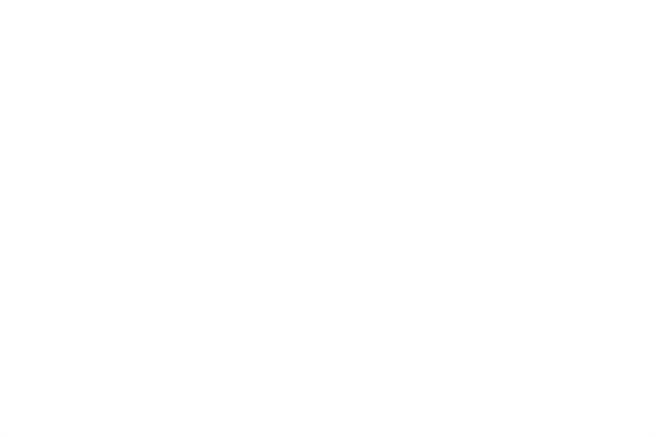 Designer Barber & Stylist School logo