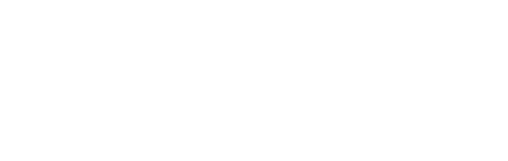 America Evangelical University logo